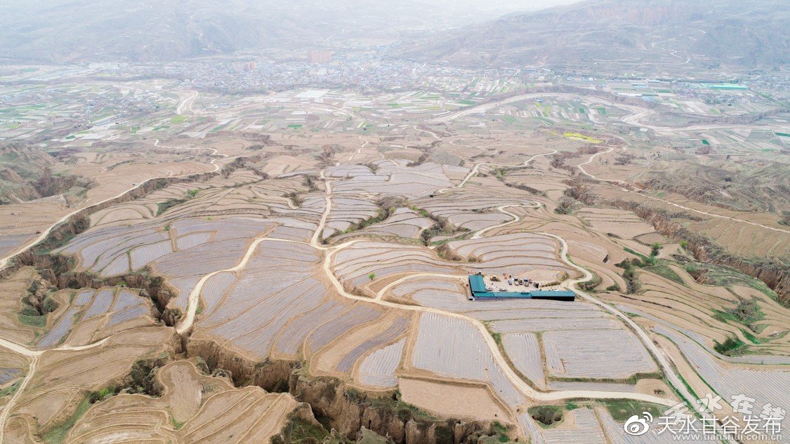 闲鱼粉丝购买真人